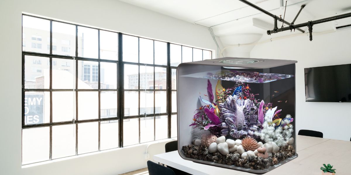 How To Choose The Aquarium Filter Size