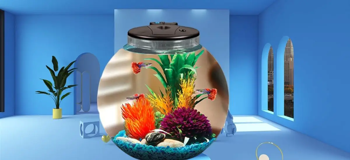 Best 3-Gallon Betta Fish Tank