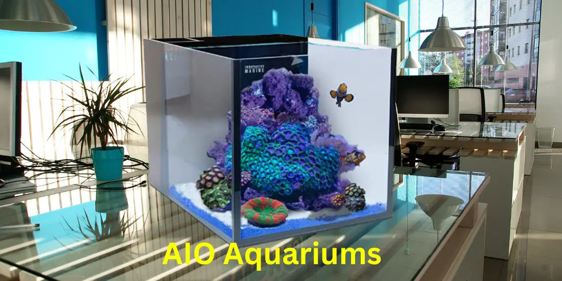 Best AIO Aquariums