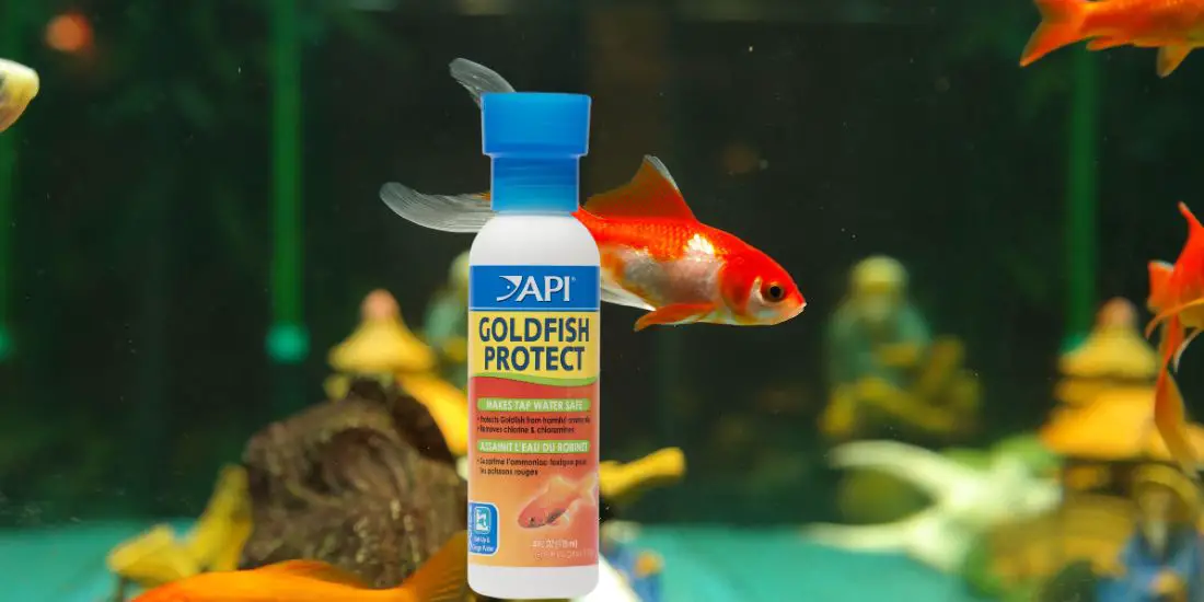 Best Water Conditioners for Goldfish