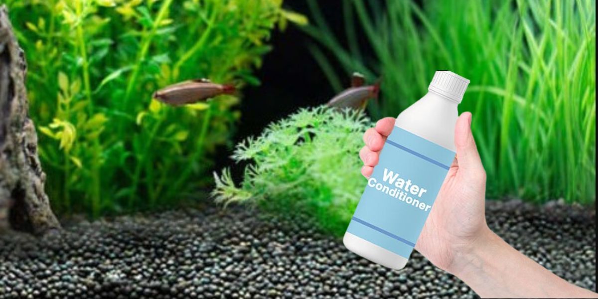 How Much Water Conditioner per Gallon