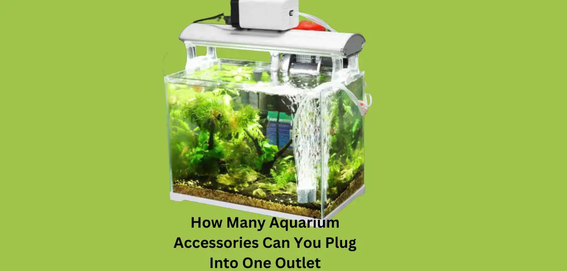 How Many Aquarium Accessories Can You Plug Into One Outlet