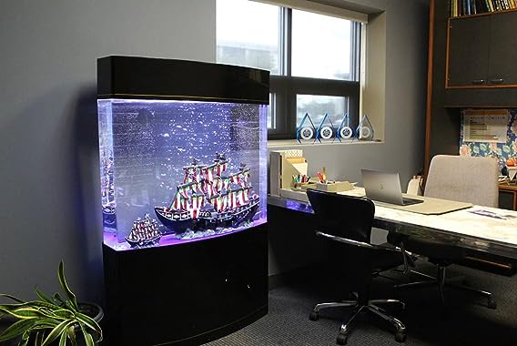 Best Fish Tanks for Office
